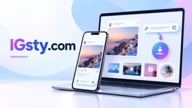 IGsty.com Instagram downloader overview